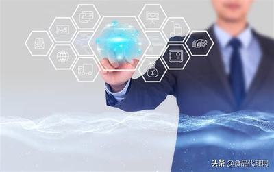 SEO軟件代理服務(wù)詳解 2024年核心概念、運作模式與價值解析